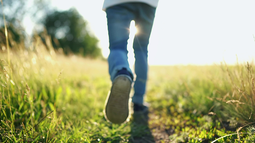 「自立」を目指すプログラム